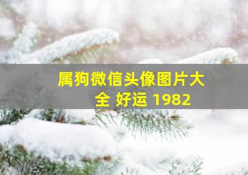 属狗微信头像图片大全 好运 1982